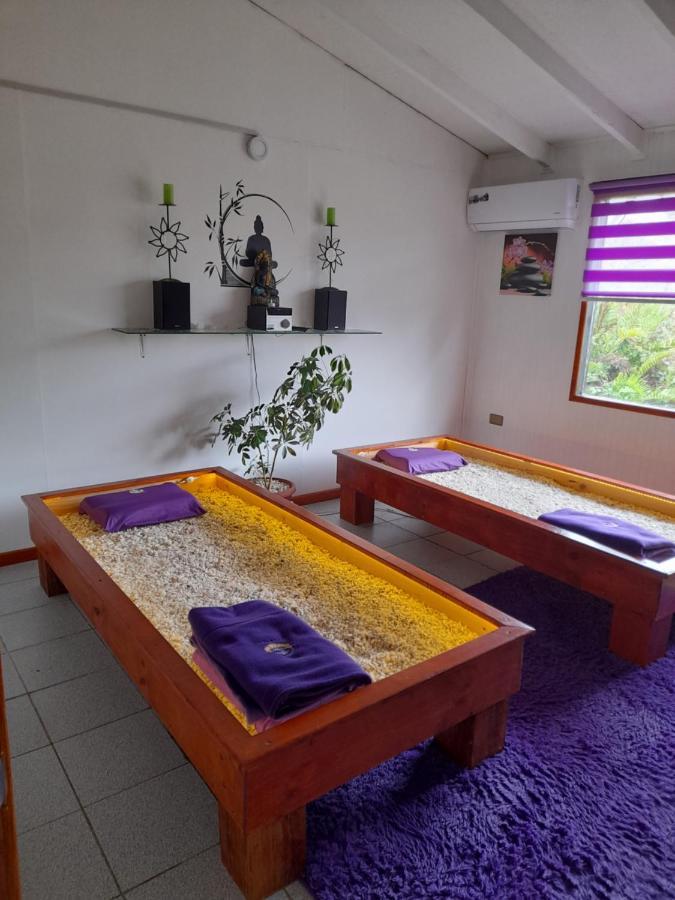 Independientes Tipo Loft Apartamento Puerto Montt